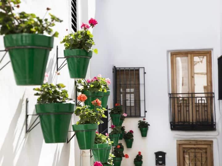 Apartamento En El Corazon De Las Alpujarras Carataunas Exterior foto